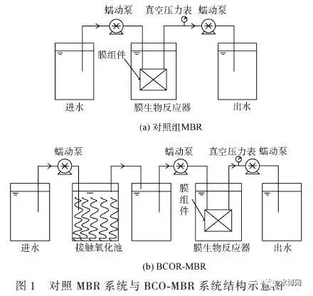 對照MBR系統(tǒng)與BCO-MBR系統(tǒng)結(jié)構(gòu)示意圖